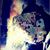 Zakk Metcalf's profile image
