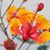 Nancylee Maylone-Petroske's profile image