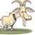 David Nanney's profile image
