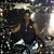 Catherine Davis-Smith's profile image