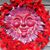 Victoria Saager's profile image