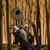 Laria Welch's profile image