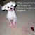 Juanita Mac Naught's profile image