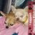 Sue Graves's profile image