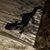 Jerry Gillespie's profile image