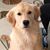 Mary Lerch's profile image