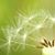 Sherri Henry Osborn's profile image