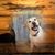 Debra Harrison's profile image