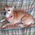 Cindy Tremaine Heileman's profile image