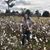 Jessica Durkin's profile image