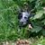 Dori Carnes's profile image