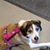 Sharon Starkey's profile image