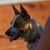 Holly Tvaroch Heckathorn's profile image