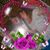 Terra Kenyon's profile image