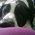 Paula J. Gepson's profile image
