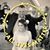Michelle Renee Lowry's profile image