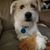 Cindy Johnson-Dawson's profile image
