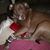 Chelsea Espinoza's profile image