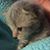 Jennifer Everett's profile image