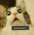 Colleen Lynn Gilginas's profile image