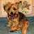 Renee Sosslau's profile image