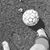 Heidi Lockman's profile image