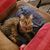 Sheri McDaniel's profile image