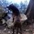 Stefanie Hodinh's profile image