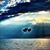 Kathy Martin Ullrich's profile image