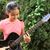 Lanvy Young's profile image