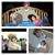 Brad Patton's profile image