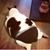 Delius Cheng's profile image