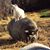 Melissa Sartin's profile image