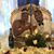 Angelle Evans's profile image