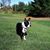 Shawna Westervelt's profile image