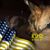 Monica Cleary's profile image