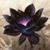 Tina York's profile image