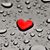 Teeka Gallardo's profile image