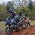 Tracy Henshaw's profile image