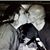 Kristan Hood's profile image