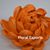 Kartick Chandra Adak's profile image