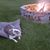 Michael Boesche's profile image