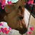 Wendy Riehl's profile image