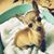 Teresa Pless White's profile image