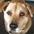 Yolanda Morris's profile image
