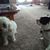 Patricia Cassidy Ulland's profile image