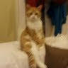 Velda W.'s profile image