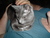 Mark P.'s profile image