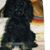 Rosemary Candusso's profile image