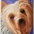 Brandy Gail's profile image